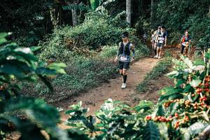 BIB: 
                            <button type="button" onclick="openModal(25849064)" class="btn btn-primary btn-sm float-right btn-popup" data-toggle="modal" data-target=".modal-high-quality">
                        <i class="fas fa-shopping-cart"></i> Add to Cart
                    </button>
                                            <button type="button" onclick="isThisMe(25849064, true)" class="btn btn-success btn-sm float-right btn-popup btn-isme hidden" data-toggle="tooltip" data-placement="bottom" title="นี่คือรูปของคุณใช่ไหม คลิกที่นี่เพื่อเอาเข้าอัลบั้ม">
                        <i class="fas fa-plus"></i> Add to album
                    </button>
                    <button type="button" onclick="isThisMe(25849064, false)" class="btn btn-warning btn-sm float-right btn-popup btn-isnotme hidden">
                        <i class="fas fa-ban"></i> Remove from album
                    </button>